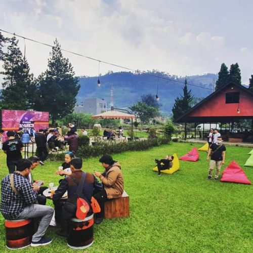 Event Organizer - Community Event